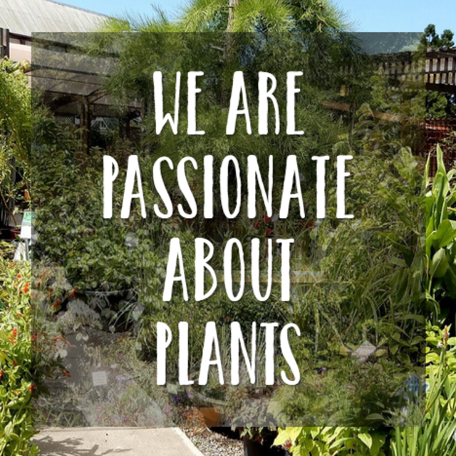 Plants from Annie's Annuals & Perennials