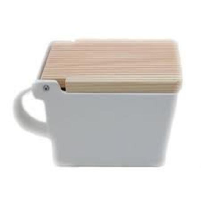 Bee House Salt Box