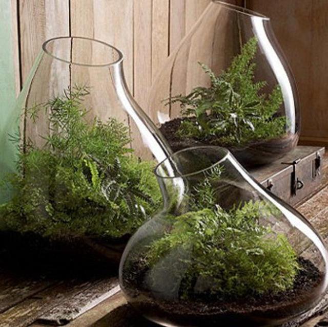Roost Rustic Recycled Glass Bubble Dome Terrariums