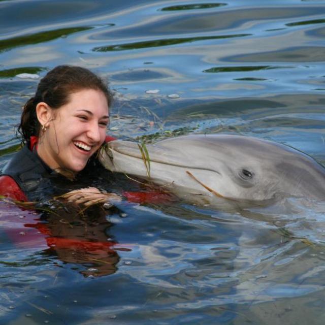 Honeymoon Excursion Day 2: Dolphin Swim & Turtle Farm