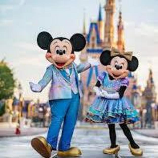 Disney World Travel Fund