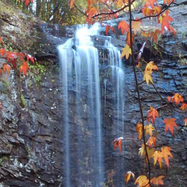 Annual Georgia State Park Pass