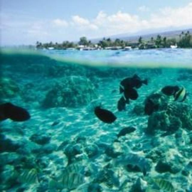Snorkeling!