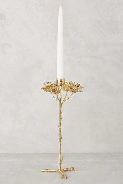 Entwined Collection
