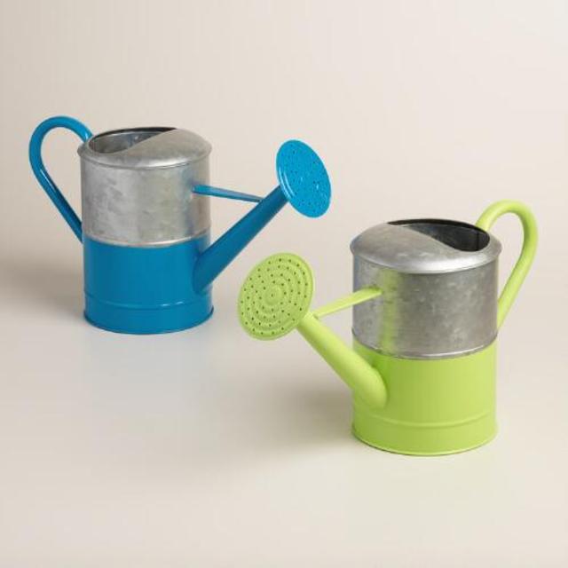 Metal Watering Cans Set of 2