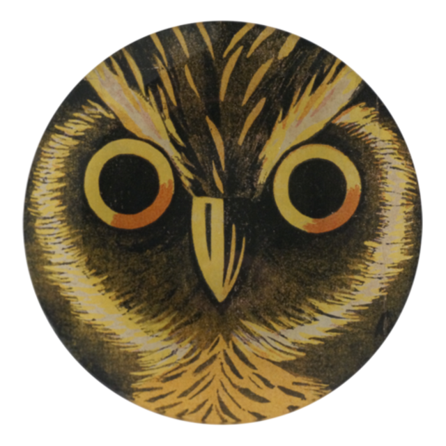 Oh You Night Owl Plate