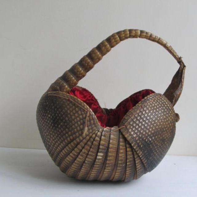 Antique Armadillo handbag, Victorian taxidermy basket, lined in red, vintage home decor curiosity talking point, mature taxidermy specimen