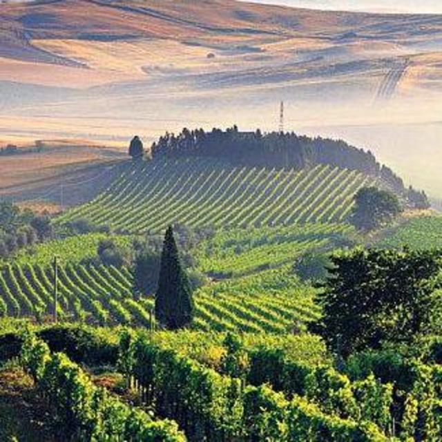 Wine Tasting