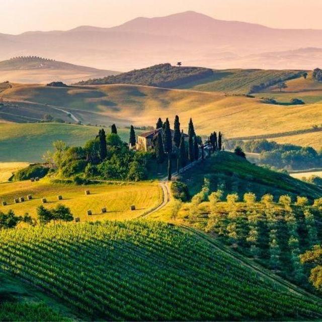 Tuscan Winery Tour