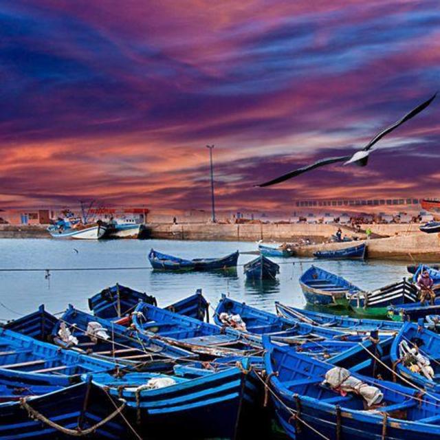 Essaouira Day Trip