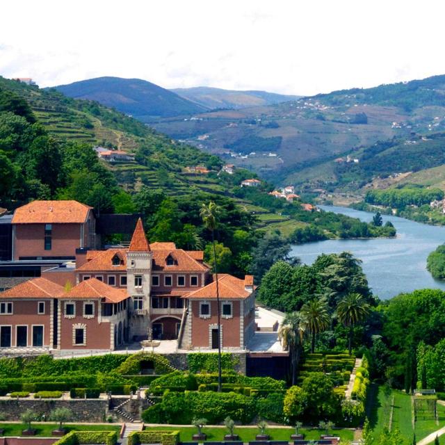 Douro Valley Wine Tour