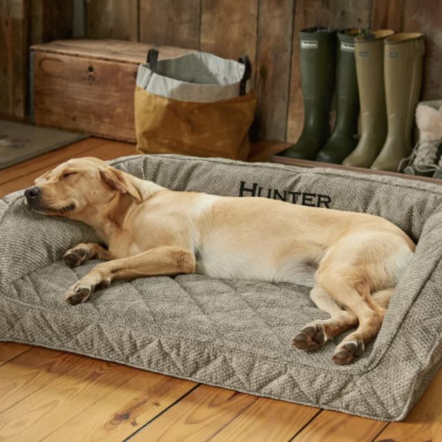 Orvis Memory Foam Bolster Dog Bed