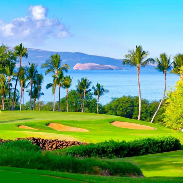 round of Golf on our Honeymoon