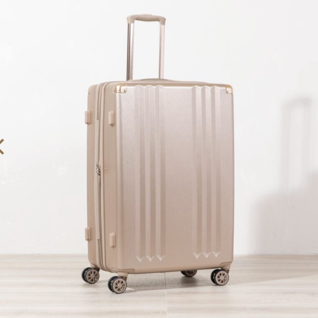 Ambeur Large Luggage - Gold