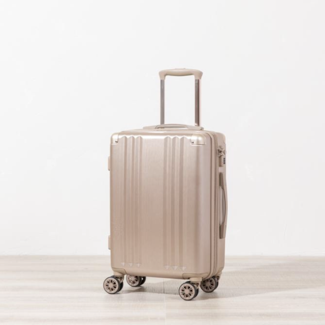 Ambeur Carry-On Luggage - Gold