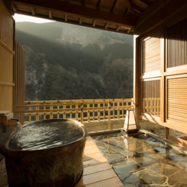 Night at Hotel Iyaonsen