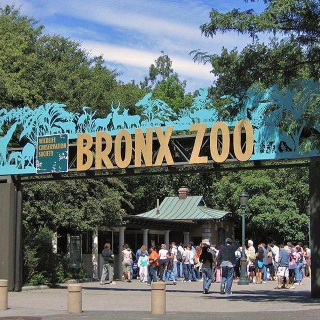 DATE NIGHT | Admission for 2 to The Bronx Zoo