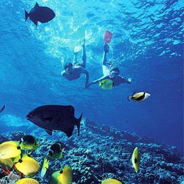 Dive St. Lucia