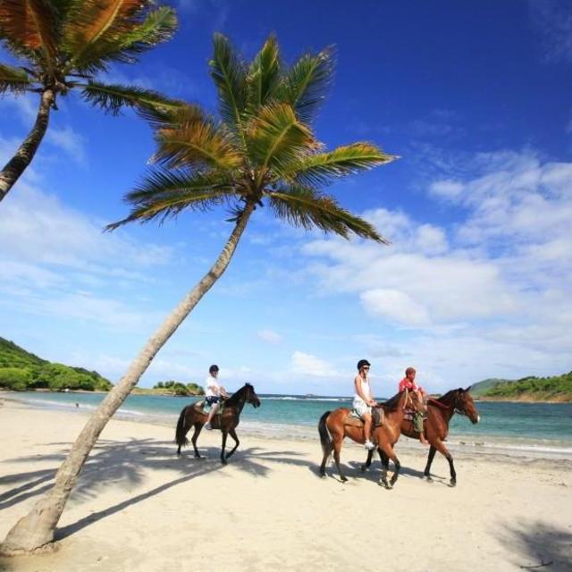 Horseback Excursion