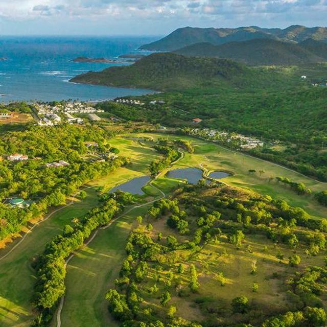 Honeymoon Golf for Mr. Effertz