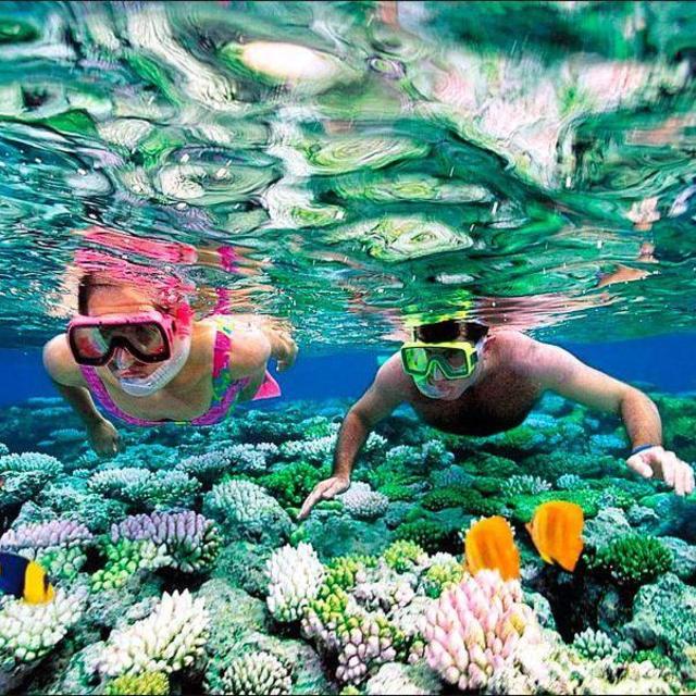 Island Cruise and Snorkeling Tour