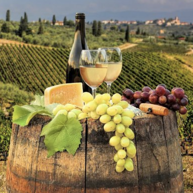 Tuscany Wine Tasting