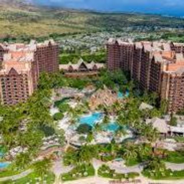 Disney Aulani Resort (Honeymoon)