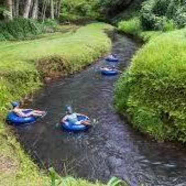 Backcountry Tubing (Honeymoon)