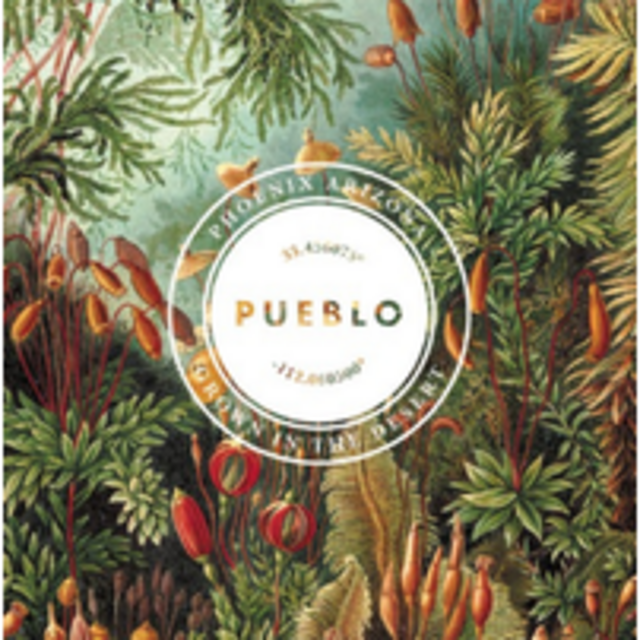 Gift Card to Pueblo Plant Shop
