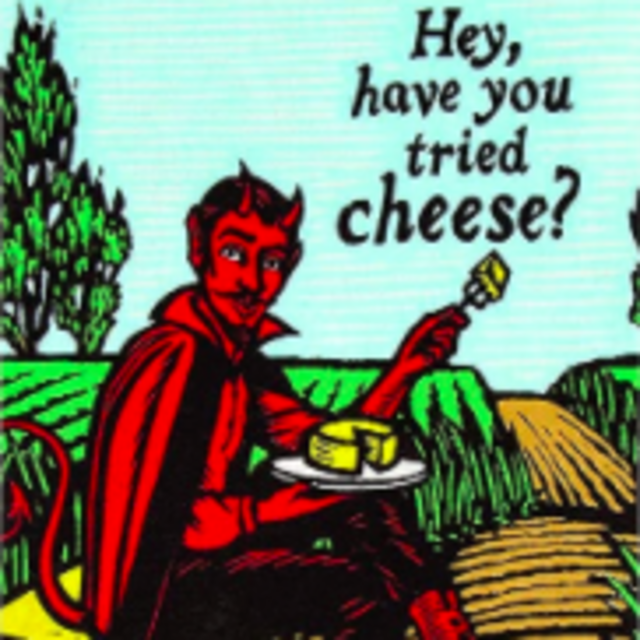 Have You Tried the Cheese dish towel