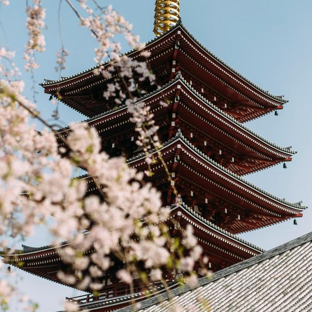 Trip to Japan