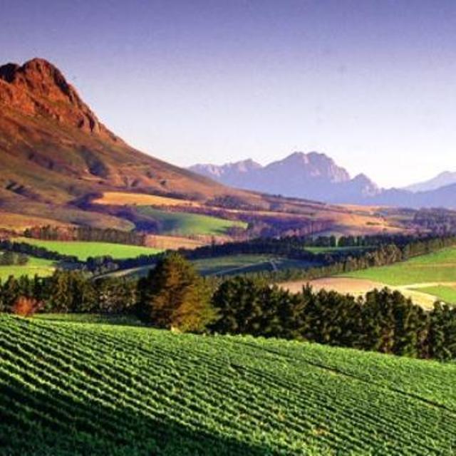 B&B stay in Cape Town's wine region