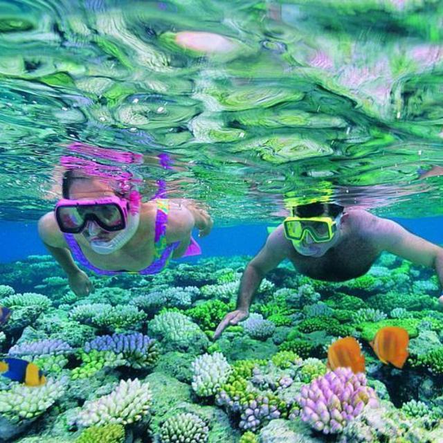 Great Barrier Reef trip