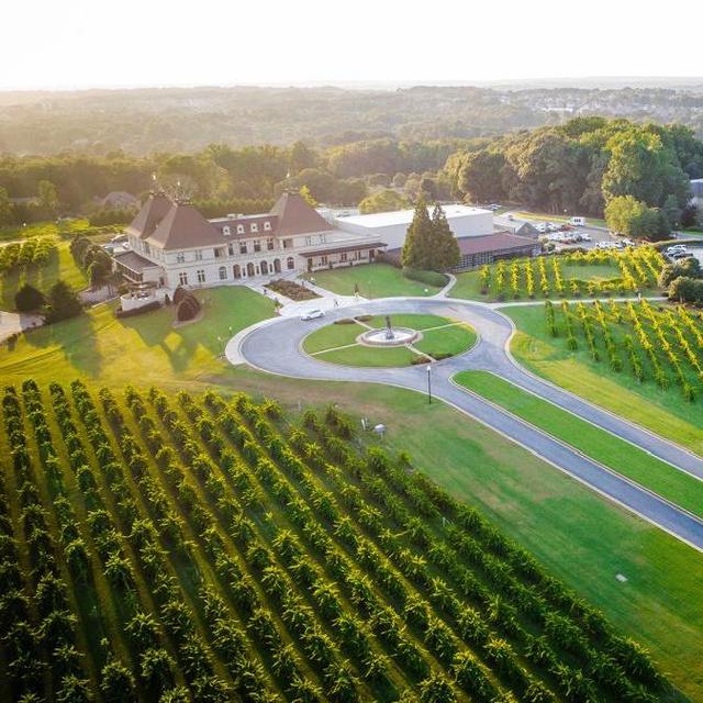 Minimoon at Chateau Elan