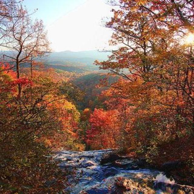 Honeymoon Fund - General