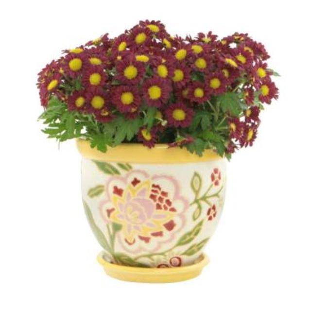 12.25 in. Ceramic Lemon Drop Rainbow Floral Planter