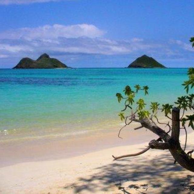 Hawaii Honeymoon Fund