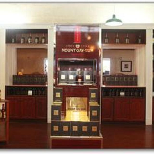 Mount Gay Rum Tour (Barbados)