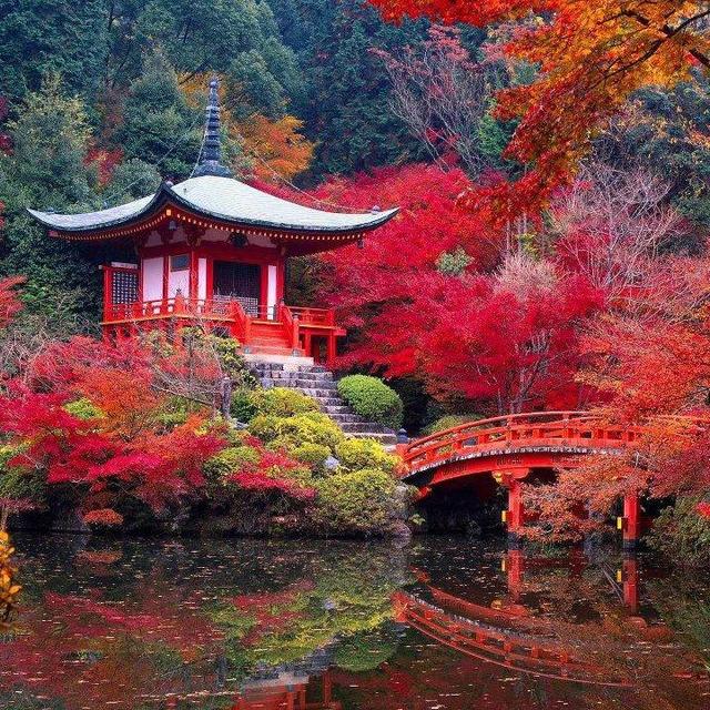 Kyoto hotel