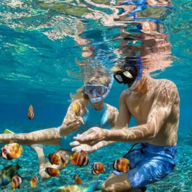 Honeymoon Excursion