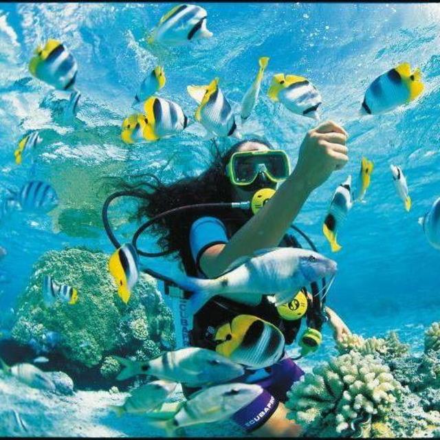 Scuba diving in Bora Bora