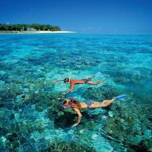 Snorkeling Excursion in Bora Bora
