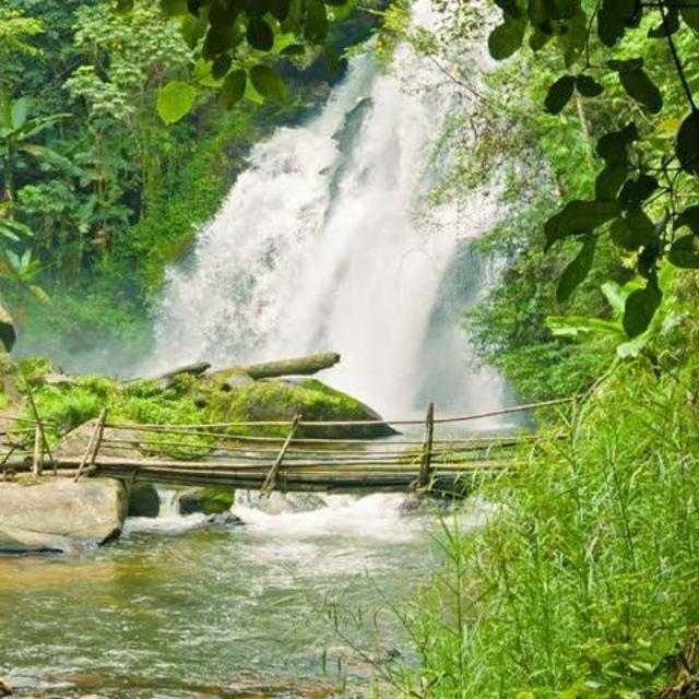 Chiang Mai: Villages and Bamboo Forest Trek