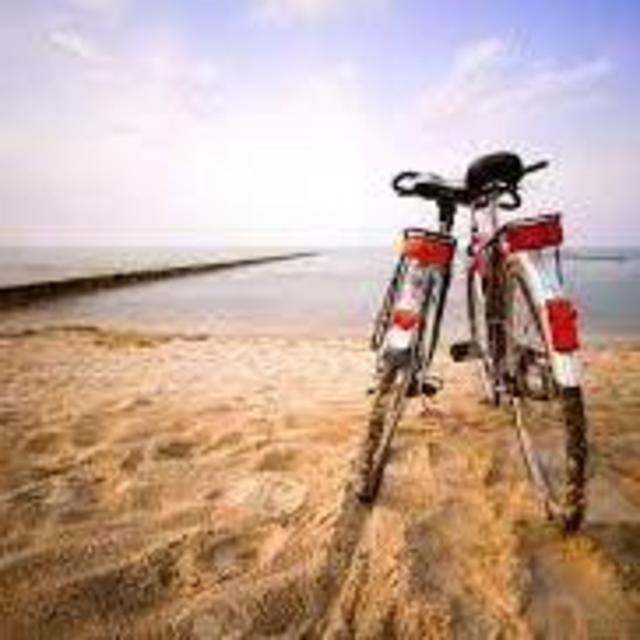 Bike Rentals