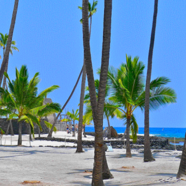 Hotel / Flight to Kona for the Big Day