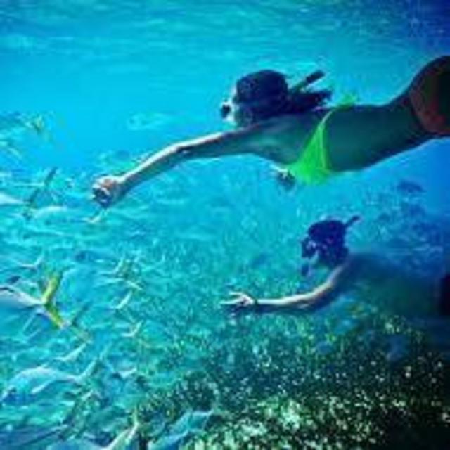 Hol Chan Snorkeling Adventure