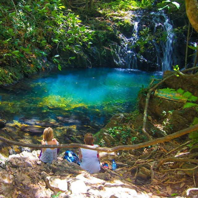 Rainforest adventure