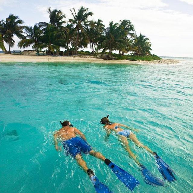 Snorkeling in Placencia