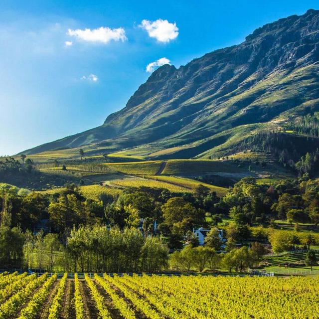 Cape Winelands