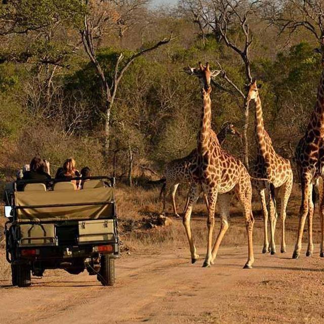 Kruger National Park Guided Safari